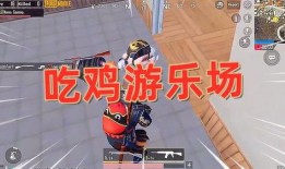 菜鸟爆料吃鸡视频大全最新,吃鸡视频大全，带你领略绝地求生精彩瞬间